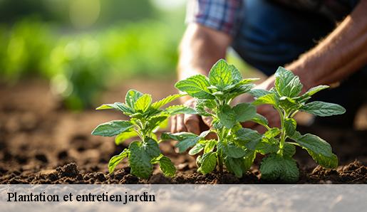 Plantation et entretien jardin  77880