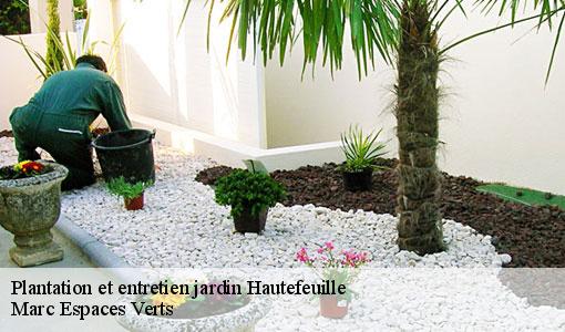 Plantation et entretien jardin  hautefeuille-77515 Marc Espaces Verts 