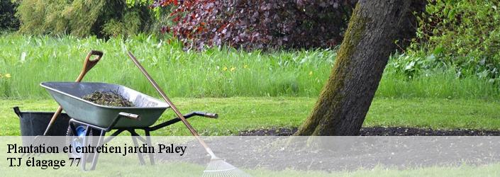 Plantation et entretien jardin  paley-77710 Sauser elagage