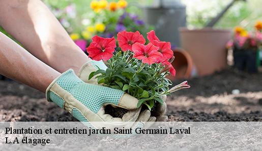 Plantation et entretien jardin saint-germain-laval-77130 Sauser elagage