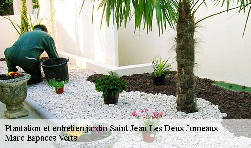 Plantation et entretien jardin  saint-jean-les-deux-jumeaux-77660 Marc Espaces Verts 