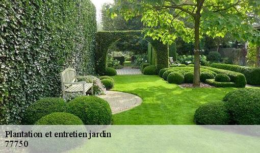 Plantation et entretien jardin  77750