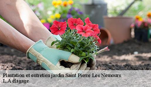 Plantation et entretien jardin saint-pierre-les-nemours-77140 L.A élagage