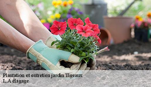 Plantation et entretien jardin  tigeaux-77163 L.A élagage 