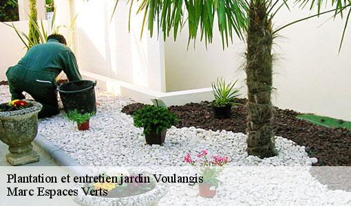 Plantation et entretien jardin  voulangis-77580 Marc Espaces Verts 