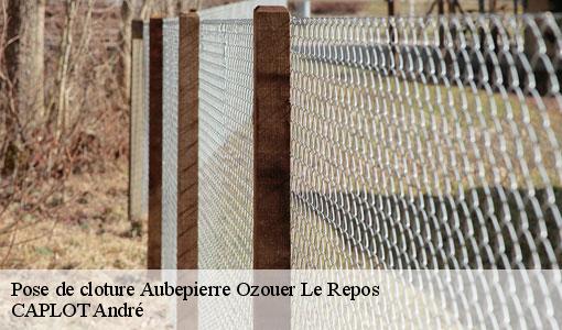 Pose de cloture aubepierre-ozouer-le-repos-77720 CAPLOT André