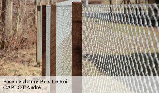 Pose de cloture bois-le-roi-77590 CAPLOT André