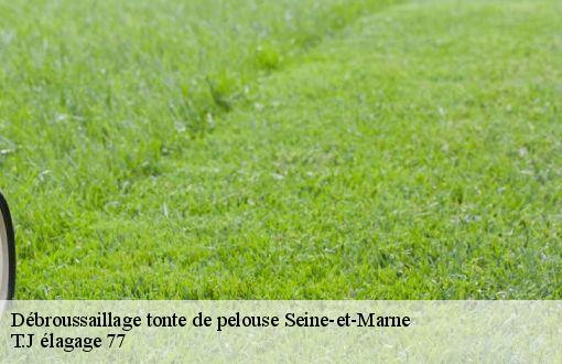 Débroussaillage tonte de pelouse 77 Seine-et-Marne  T.J élagage 77