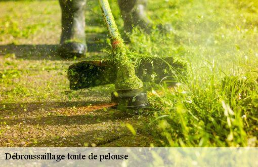 Débroussaillage tonte de pelouse Seine-et-Marne 