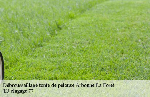 Débroussaillage tonte de pelouse  arbonne-la-foret-77630 T.J élagage 77