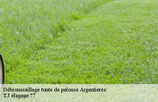 Débroussaillage tonte de pelouse  argentieres-77390 T.J élagage 77
