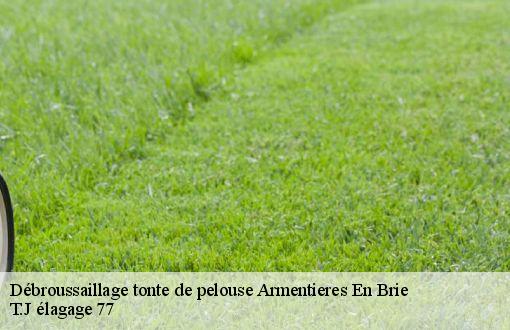 Débroussaillage tonte de pelouse  armentieres-en-brie-77440 T.J élagage 77