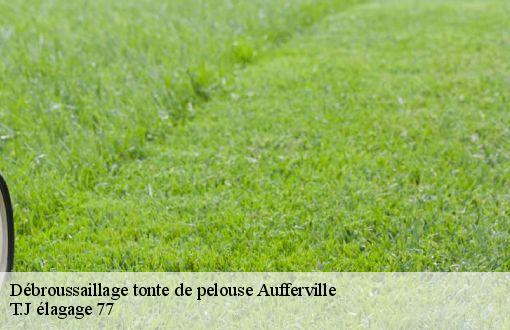 Débroussaillage tonte de pelouse  aufferville-77570 T.J élagage 77