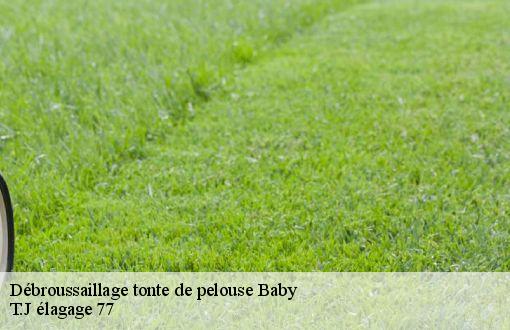 Débroussaillage tonte de pelouse  baby-77480 T.J élagage 77