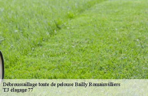 Débroussaillage tonte de pelouse  bailly-romainvilliers-77700 T.J élagage 77