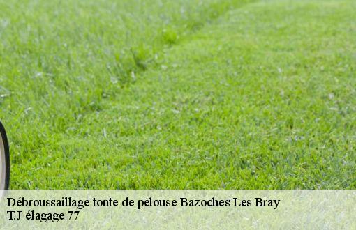 Débroussaillage tonte de pelouse  bazoches-les-bray-77118 T.J élagage 77