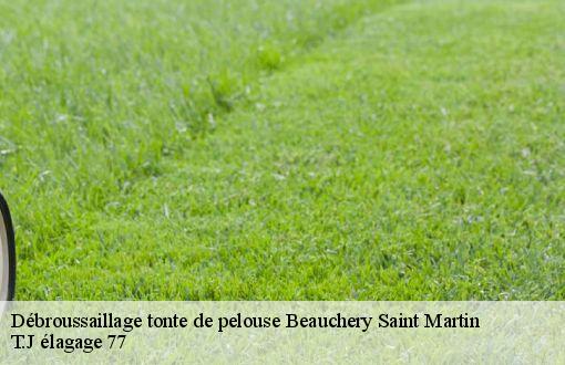 Débroussaillage tonte de pelouse  beauchery-saint-martin-77560 T.J élagage 77