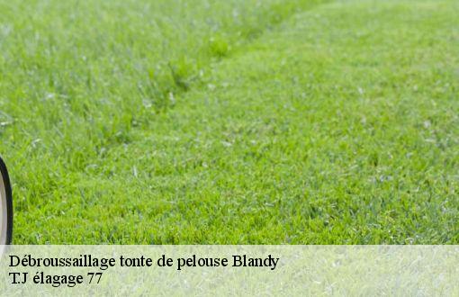 Débroussaillage tonte de pelouse  blandy-77115 T.J élagage 77