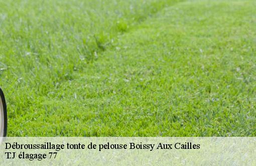 Débroussaillage tonte de pelouse  boissy-aux-cailles-77760 T.J élagage 77
