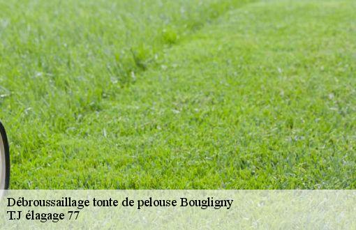 Débroussaillage tonte de pelouse  bougligny-77570 T.J élagage 77