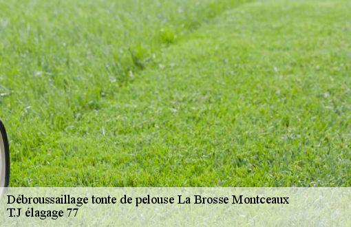 Débroussaillage tonte de pelouse  la-brosse-montceaux-77940 T.J élagage 77