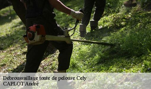 Débroussaillage tonte de pelouse cely-77930 CAPLOT André