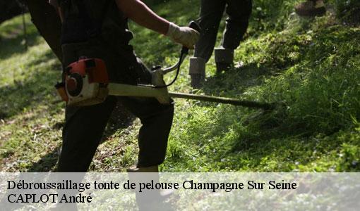 Débroussaillage tonte de pelouse champagne-sur-seine-77430 CAPLOT André