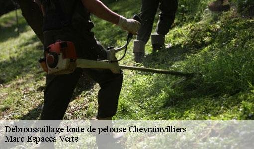 Débroussaillage tonte de pelouse  chevrainvilliers-77760 Marc Espaces Verts 