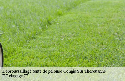 Débroussaillage tonte de pelouse  congis-sur-therouanne-77440 T.J élagage 77