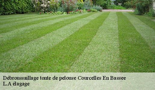 Débroussaillage tonte de pelouse  courcelles-en-bassee-77126 L.A élagage 