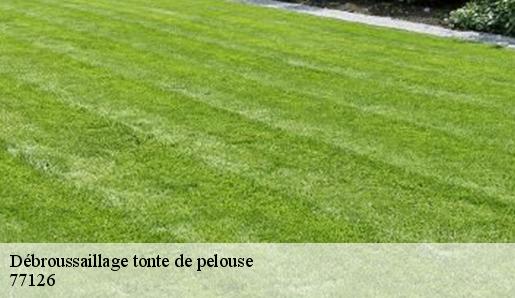 Débroussaillage tonte de pelouse  77126