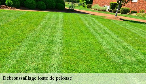 Débroussaillage tonte de pelouse  77126