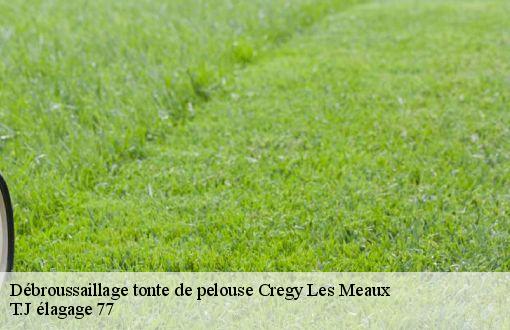 Débroussaillage tonte de pelouse  cregy-les-meaux-77124 T.J élagage 77