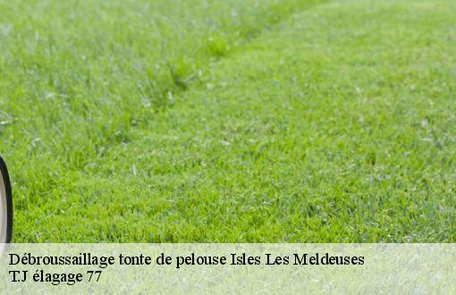 Débroussaillage tonte de pelouse  isles-les-meldeuses-77440 T.J élagage 77