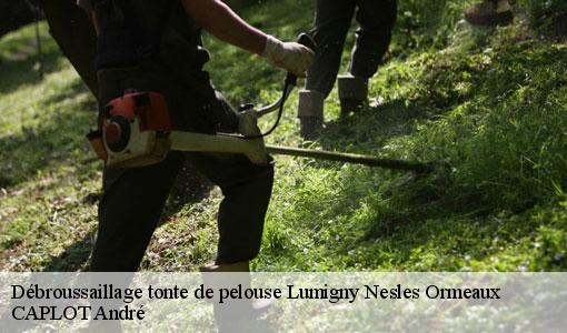 Débroussaillage tonte de pelouse lumigny-nesles-ormeaux-77540 CAPLOT André