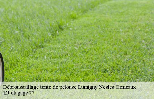 Débroussaillage tonte de pelouse  lumigny-nesles-ormeaux-77540 T.J élagage 77