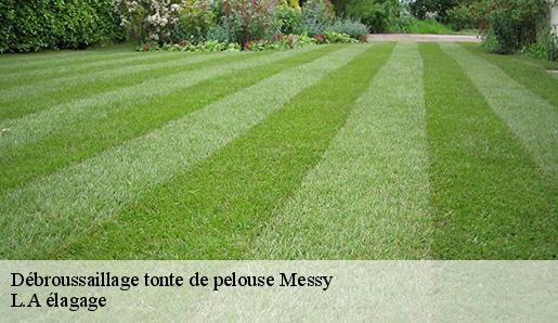 Débroussaillage tonte de pelouse messy-77410 L.A élagage