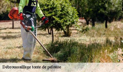 Débroussaillage tonte de pelouse  77410