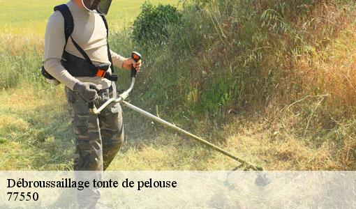 Débroussaillage tonte de pelouse  77550