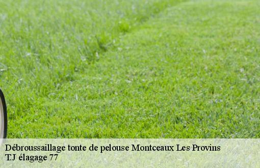 Débroussaillage tonte de pelouse  montceaux-les-provins-77151 T.J élagage 77
