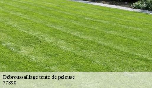 Débroussaillage tonte de pelouse  77890