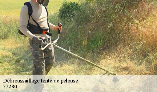 Débroussaillage tonte de pelouse  77280