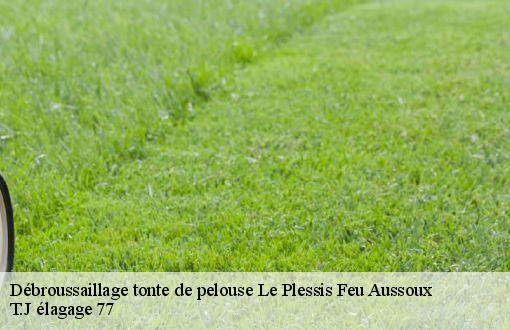 Débroussaillage tonte de pelouse  le-plessis-feu-aussoux-77540 T.J élagage 77