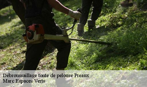 Débroussaillage tonte de pelouse  preaux-77710 Marc Espaces Verts 