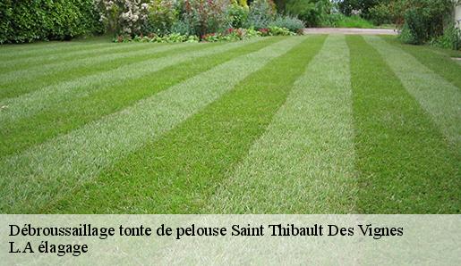 Débroussaillage tonte de pelouse saint-thibault-des-vignes-77400 L.A élagage