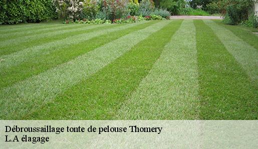 Débroussaillage tonte de pelouse  thomery-77810 L.A élagage 