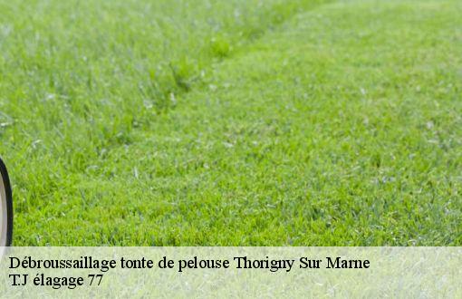 Débroussaillage tonte de pelouse  thorigny-sur-marne-77400 T.J élagage 77