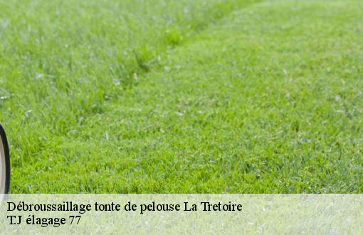 Débroussaillage tonte de pelouse  la-tretoire-77510 T.J élagage 77