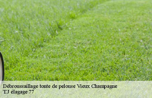 Débroussaillage tonte de pelouse  vieux-champagne-77370 T.J élagage 77