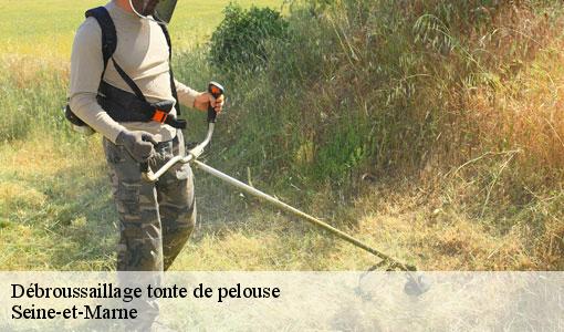 Débroussaillage tonte de pelouse